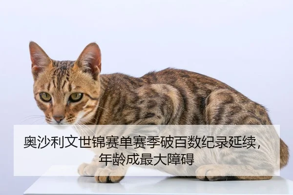奥沙利文世锦赛单赛季破百数纪录延续，年龄成最大障碍