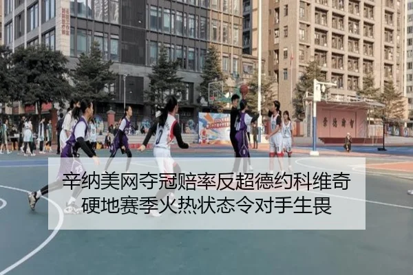 辛纳美网夺冠赔率反超德约科维奇 硬地赛季火热状态令对手生畏